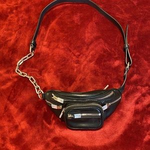 Alexander Wang mini Attica